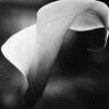 Callas01