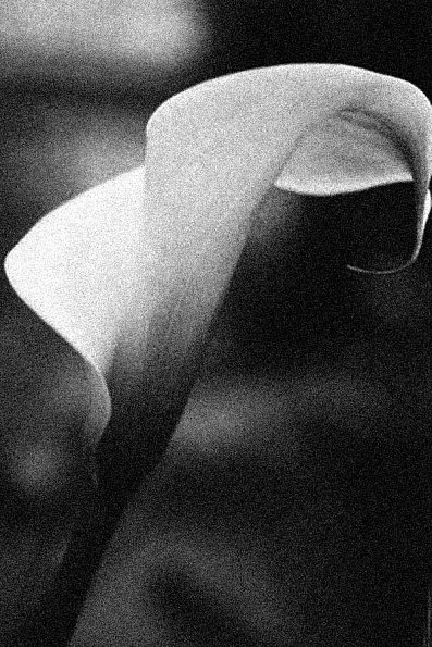 Callas01